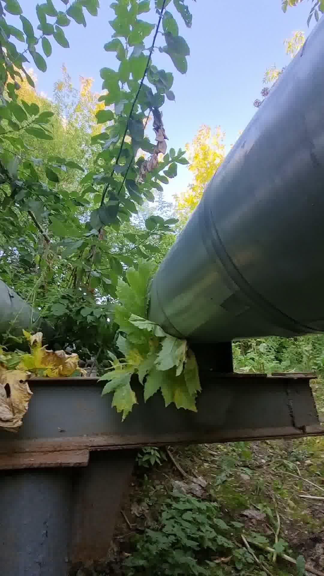 Теплотрасса, проходящая через участок под мойку Grape Vine